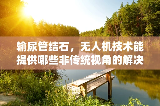 输尿管结石，无人机技术能提供哪些非传统视角的解决方案？