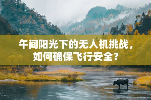 午间阳光下的无人机挑战，如何确保飞行安全？