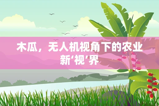 木瓜，无人机视角下的农业新‘视’界