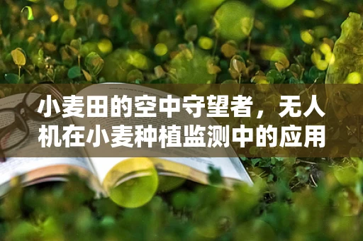 小麦田的空中守望者，无人机在小麦种植监测中的应用挑战？