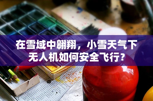 在雪域中翱翔，小雪天气下无人机如何安全飞行？