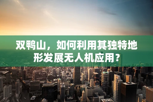 双鸭山，如何利用其独特地形发展无人机应用？