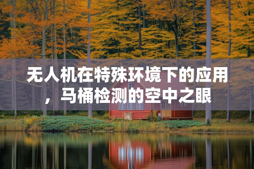 无人机在特殊环境下的应用，马桶检测的空中之眼