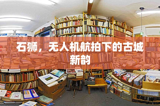 石狮，无人机航拍下的古城新韵