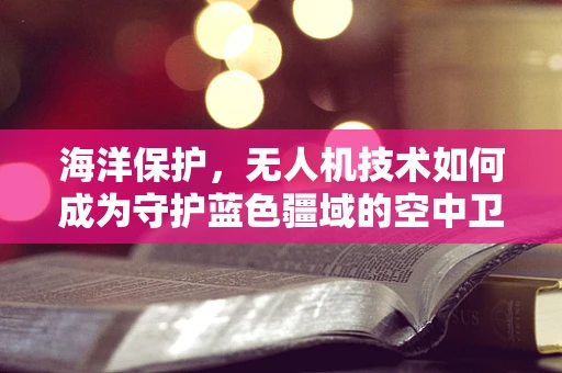 海洋保护，无人机技术如何成为守护蓝色疆域的空中卫士？