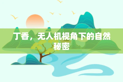 丁香，无人机视角下的自然秘密