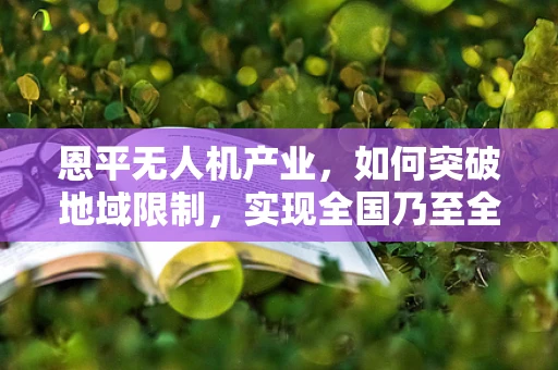 恩平无人机产业，如何突破地域限制，实现全国乃至全球的辐射力？
