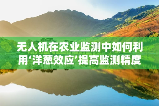 无人机在农业监测中如何利用‘洋葱效应’提高监测精度？