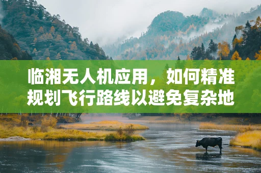 临湘无人机应用，如何精准规划飞行路线以避免复杂地形挑战？