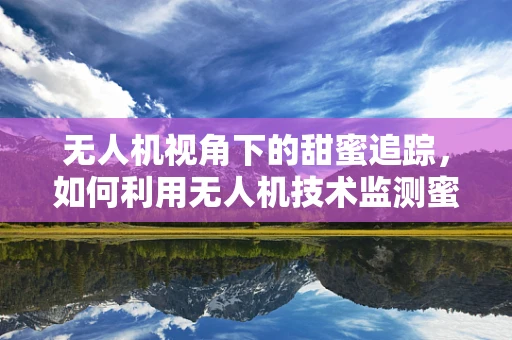 无人机视角下的甜蜜追踪，如何利用无人机技术监测蜜蜂养殖？
