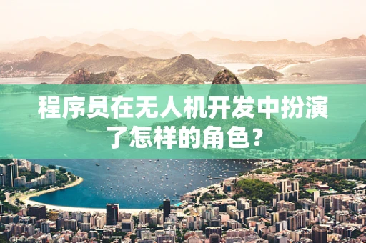 程序员在无人机开发中扮演了怎样的角色？