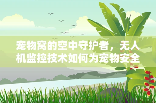 宠物窝的空中守护者，无人机监控技术如何为宠物安全保驾护航？