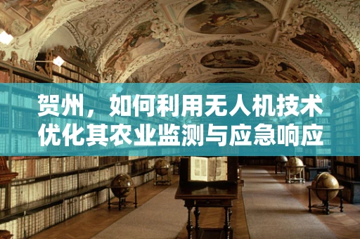 贺州，如何利用无人机技术优化其农业监测与应急响应？