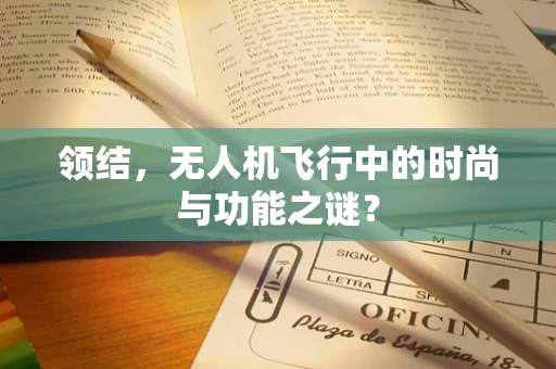 领结，无人机飞行中的时尚与功能之谜？