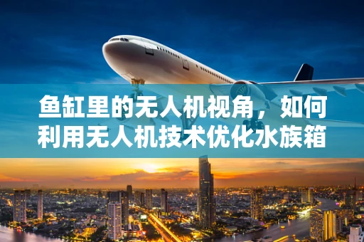 鱼缸里的无人机视角，如何利用无人机技术优化水族箱管理？