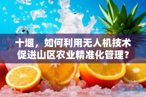 十堰，如何利用无人机技术促进山区农业精准化管理？