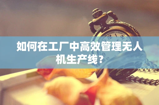 如何在工厂中高效管理无人机生产线？