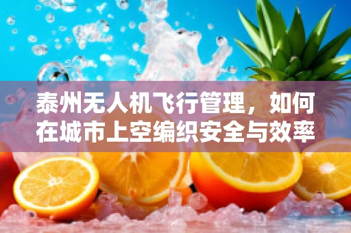 泰州无人机飞行管理，如何在城市上空编织安全与效率的网？