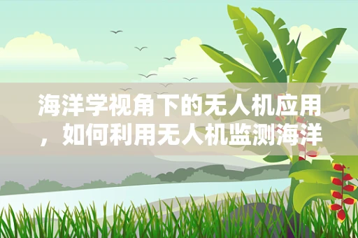 海洋学视角下的无人机应用，如何利用无人机监测海洋环境变化？