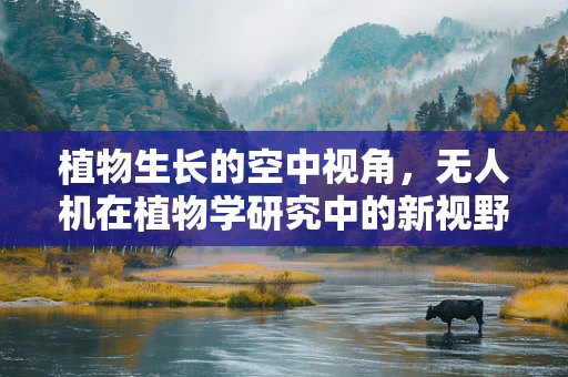 植物生长的空中视角，无人机在植物学研究中的新视野？