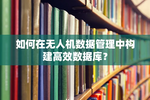 如何在无人机数据管理中构建高效数据库？