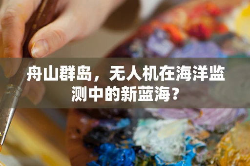 舟山群岛，无人机在海洋监测中的新蓝海？