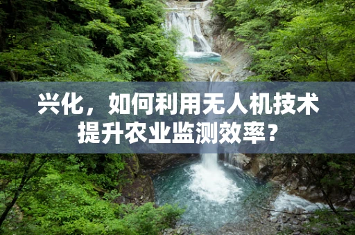 兴化，如何利用无人机技术提升农业监测效率？