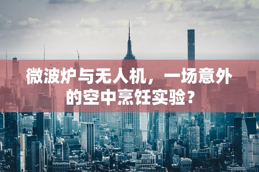 微波炉与无人机，一场意外的空中烹饪实验？
