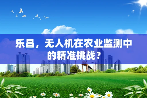 乐昌，无人机在农业监测中的精准挑战？