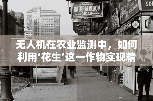 无人机在农业监测中，如何利用‘花生’这一作物实现精准管理？