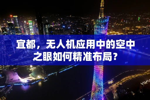 宜都，无人机应用中的空中之眼如何精准布局？
