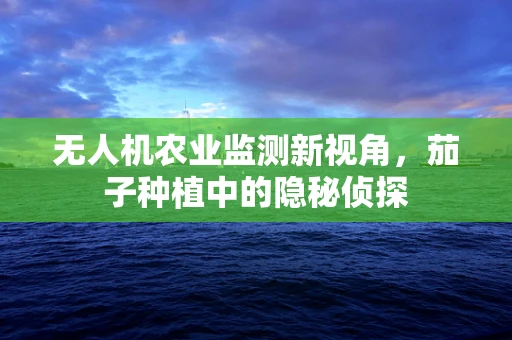 无人机农业监测新视角，茄子种植中的隐秘侦探