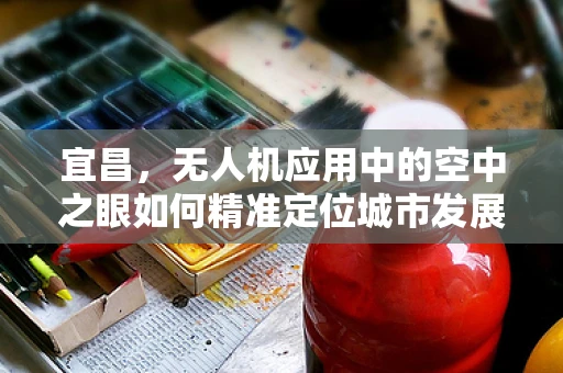 宜昌，无人机应用中的空中之眼如何精准定位城市发展？