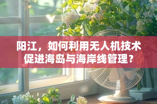 阳江，如何利用无人机技术促进海岛与海岸线管理？