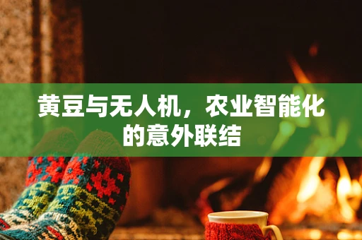 黄豆与无人机，农业智能化的意外联结