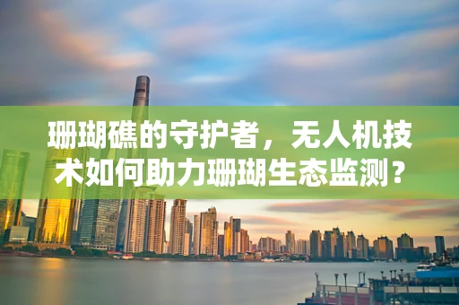 珊瑚礁的守护者，无人机技术如何助力珊瑚生态监测？