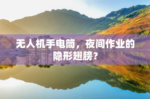 无人机手电筒，夜间作业的隐形翅膀？