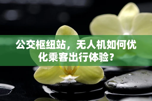 公交枢纽站，无人机如何优化乘客出行体验？